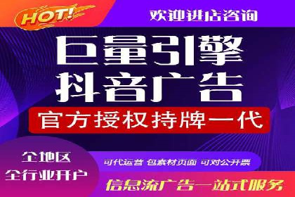 谷歌竞价广告的投放策略与成功案例分析
